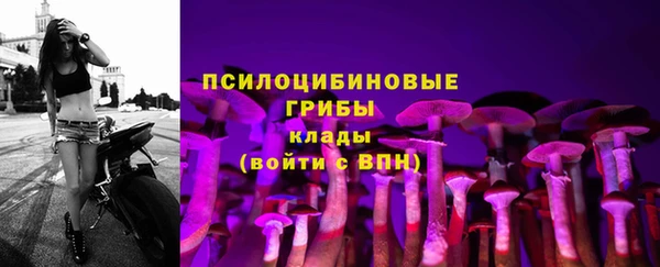 гидропоника Семилуки