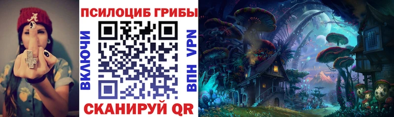 Галлюциногенные грибы мицелий  цена   Славск 
